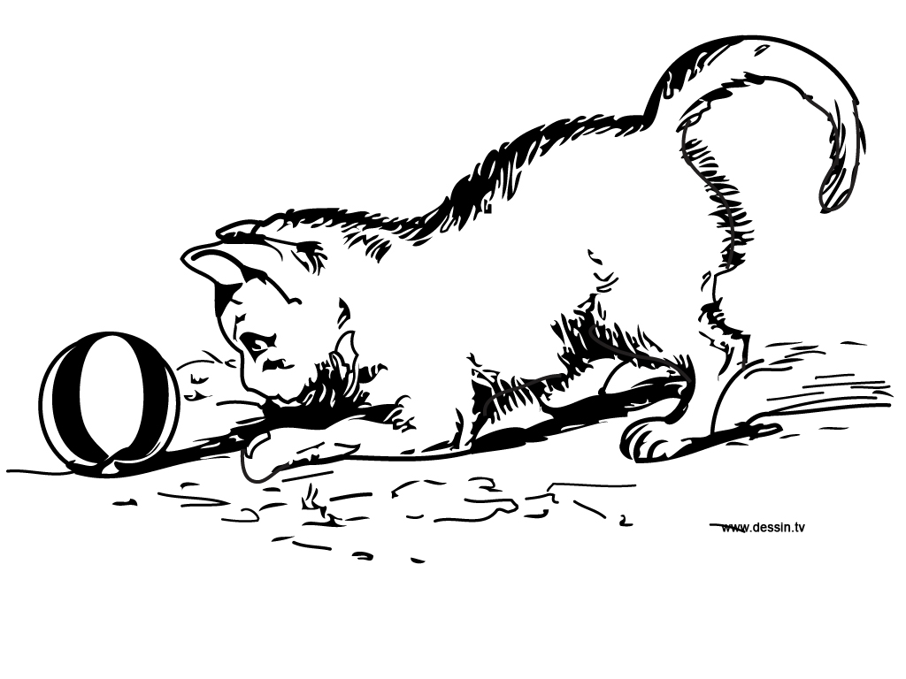Раскраска: котенок (Животные) #18072 - Бесплатные раскраски для печати