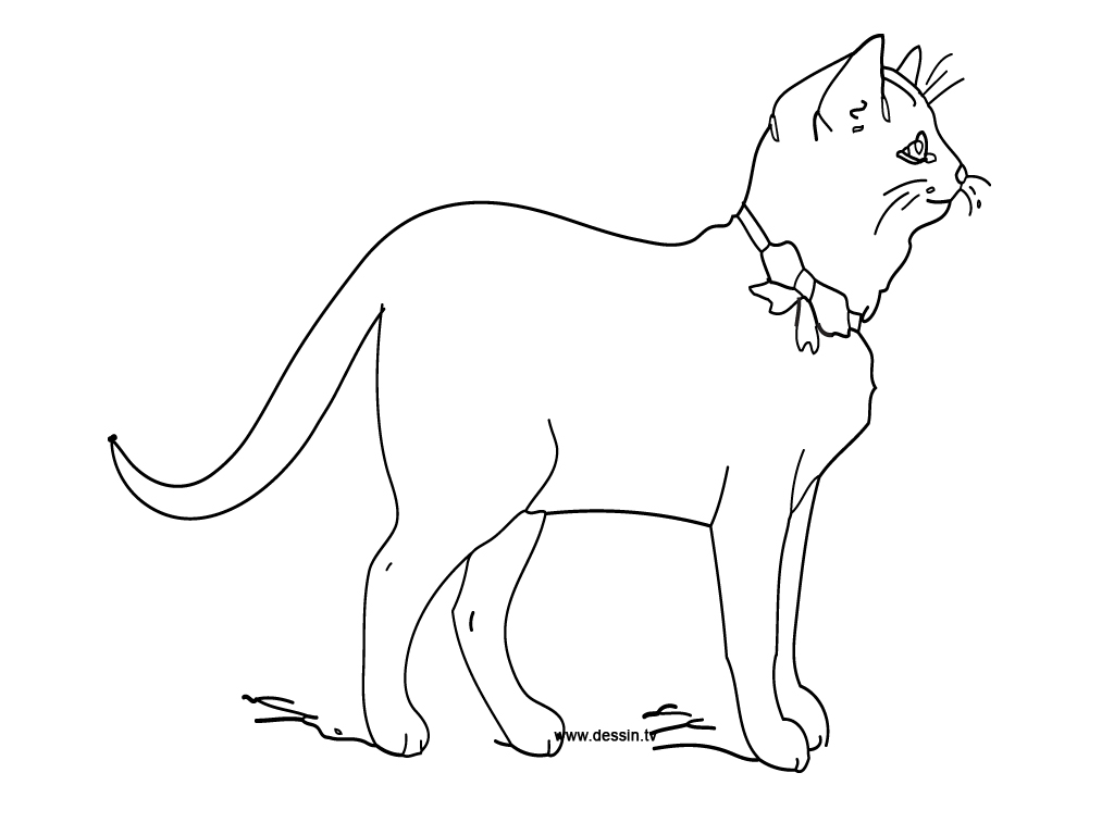 Раскраска: котенок (Животные) #18084 - Бесплатные раскраски для печати