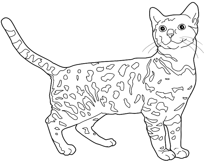 Раскраска: котенок (Животные) #18101 - Бесплатные раскраски для печати