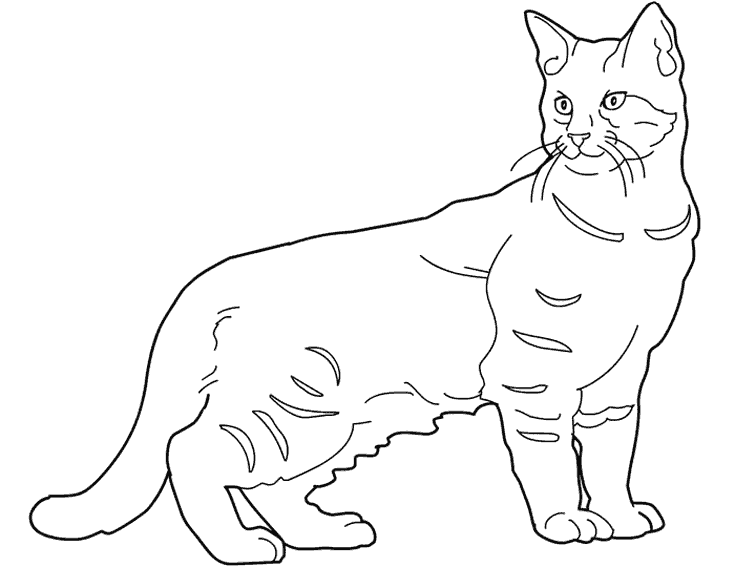 Раскраска: котенок (Животные) #18108 - Бесплатные раскраски для печати
