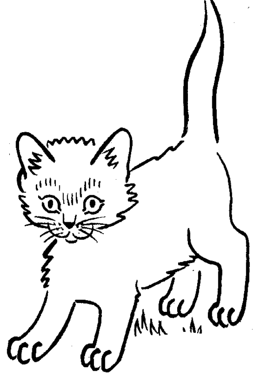 Раскраска: котенок (Животные) #18123 - Бесплатные раскраски для печати