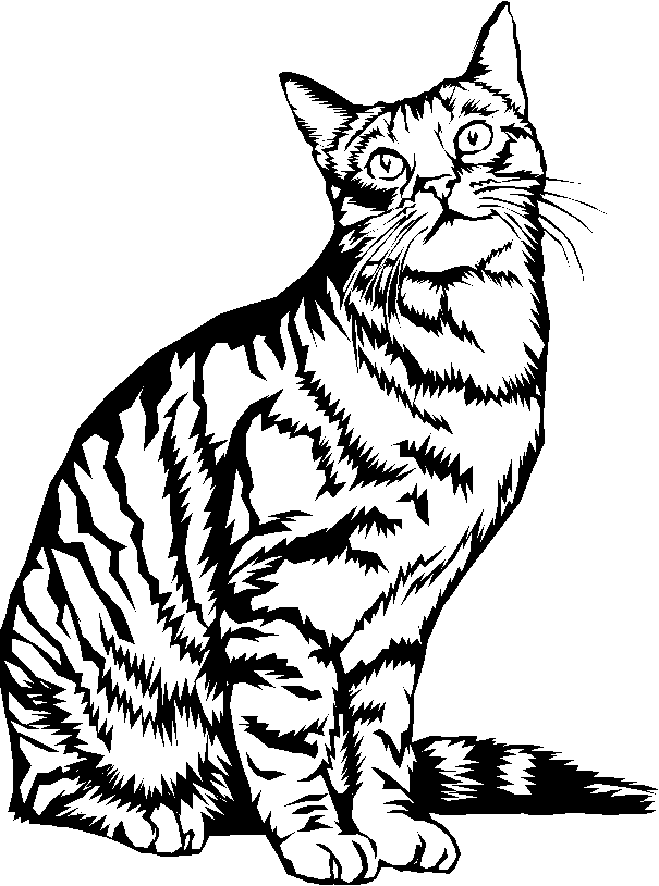 Раскраска: котенок (Животные) #18148 - Бесплатные раскраски для печати