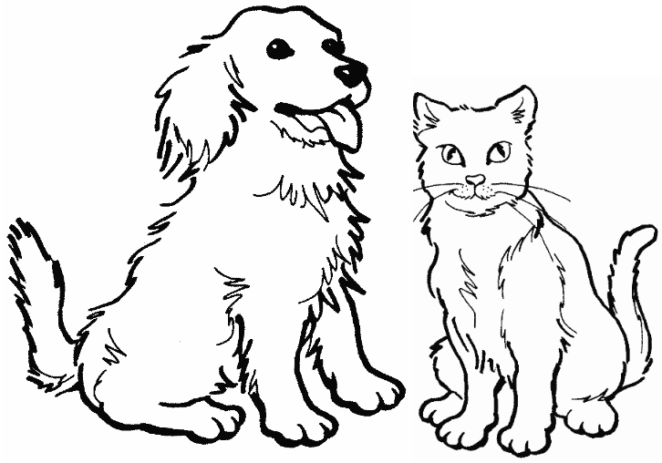 Раскраска: котенок (Животные) #18152 - Бесплатные раскраски для печати