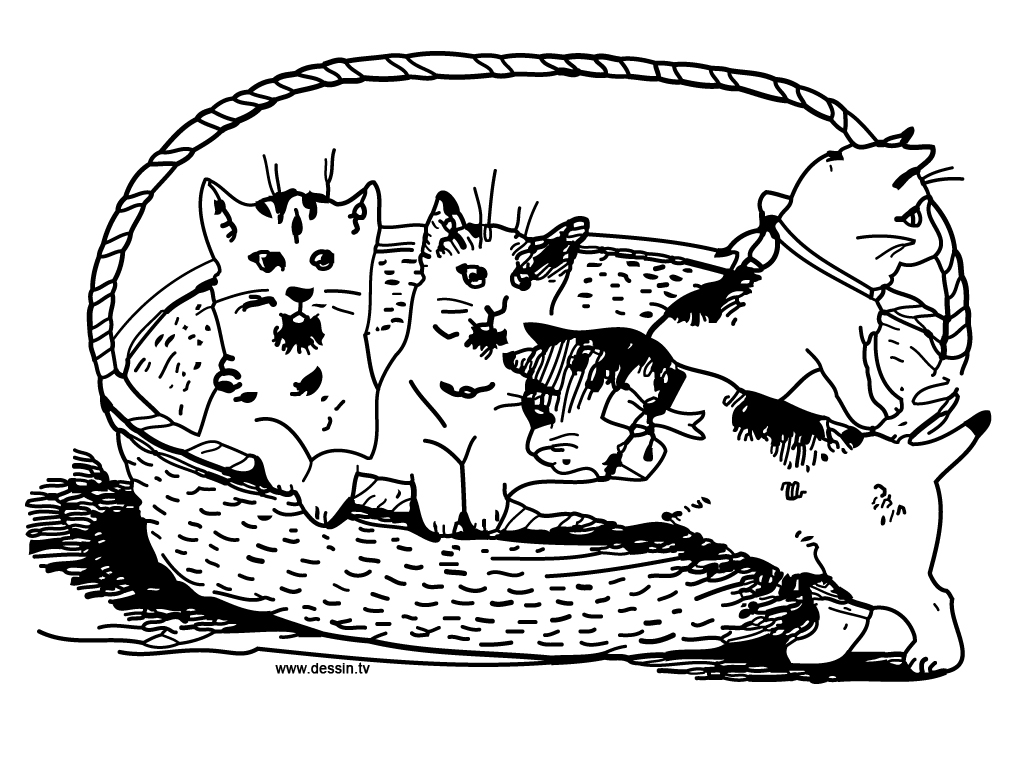 Раскраска: котенок (Животные) #18188 - Бесплатные раскраски для печати