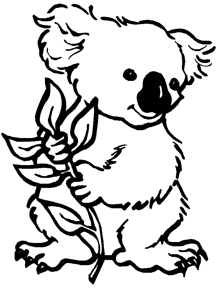 Раскраска: коала (Животные) #9303 - Бесплатные раскраски для печати
