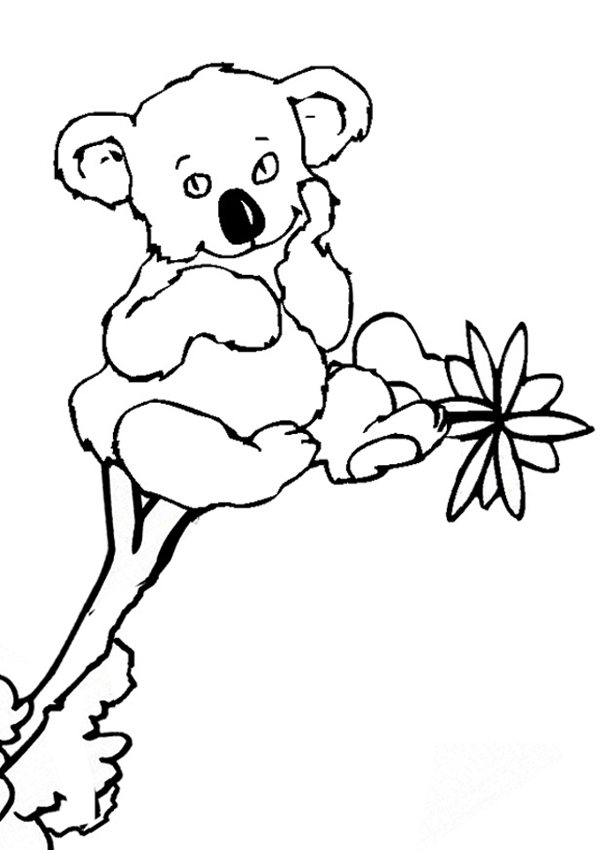 Раскраска: коала (Животные) #9325 - Бесплатные раскраски для печати
