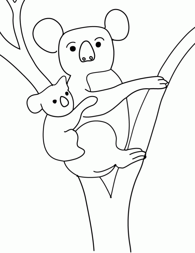 Раскраска: коала (Животные) #9326 - Бесплатные раскраски для печати