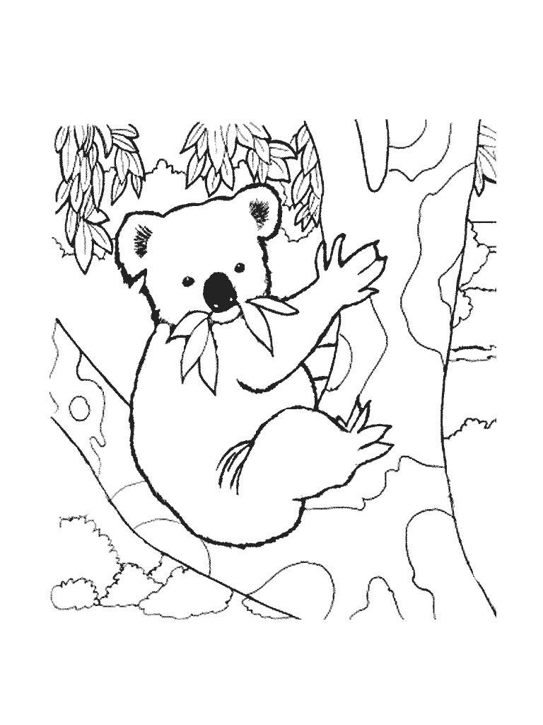 Раскраска: коала (Животные) #9337 - Бесплатные раскраски для печати