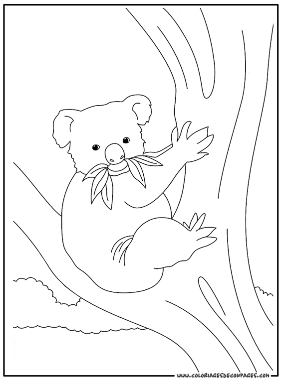 Раскраска: коала (Животные) #9342 - Бесплатные раскраски для печати