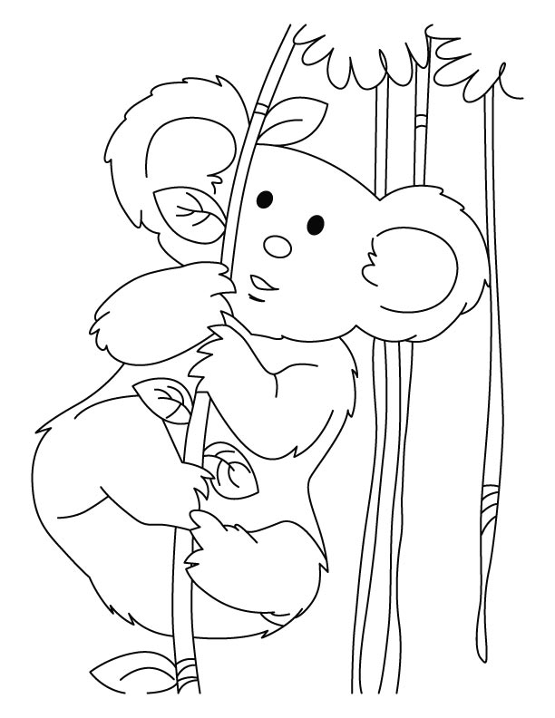 Раскраска: коала (Животные) #9345 - Бесплатные раскраски для печати