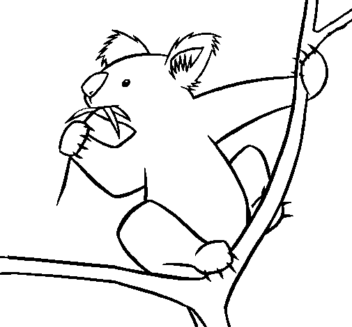 Раскраска: коала (Животные) #9356 - Бесплатные раскраски для печати