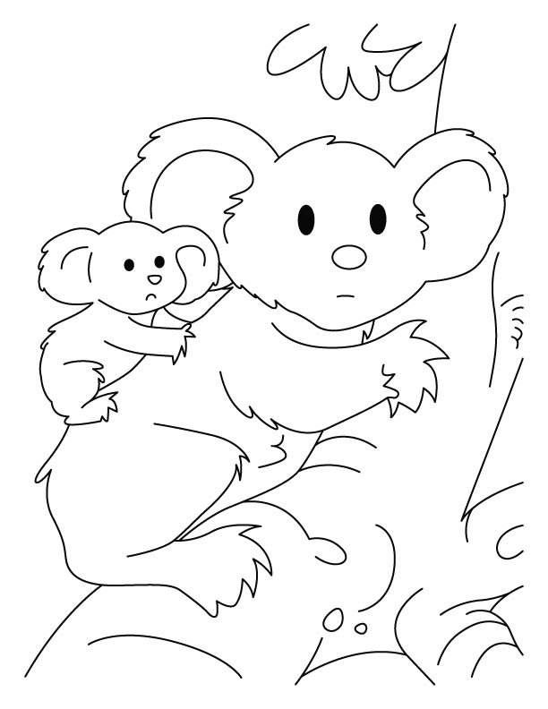 Раскраска: коала (Животные) #9362 - Бесплатные раскраски для печати
