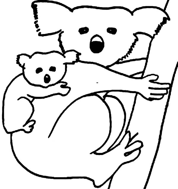 Раскраска: коала (Животные) #9369 - Бесплатные раскраски для печати