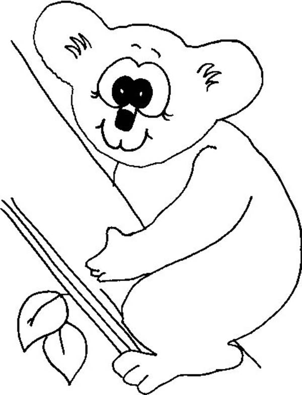 Раскраска: коала (Животные) #9393 - Бесплатные раскраски для печати