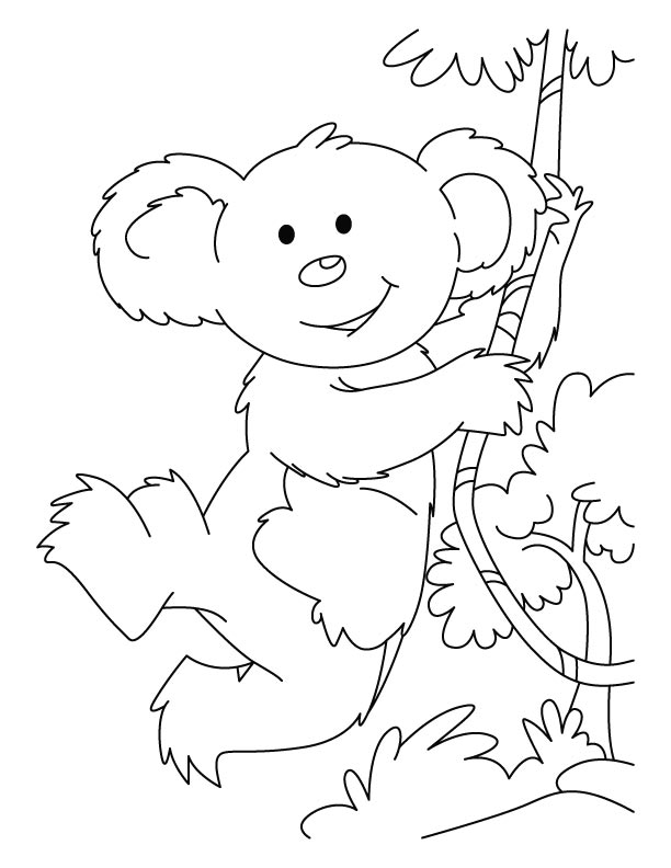 Раскраска: коала (Животные) #9409 - Бесплатные раскраски для печати