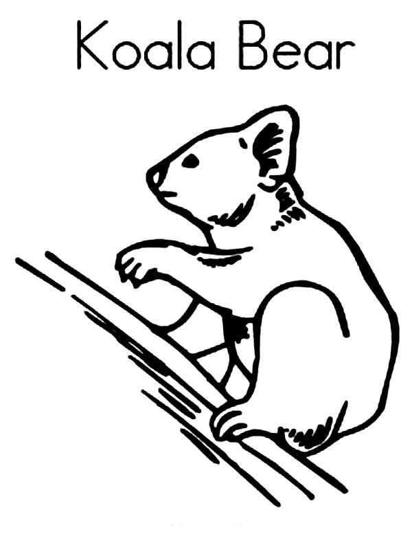 Раскраска: коала (Животные) #9444 - Бесплатные раскраски для печати