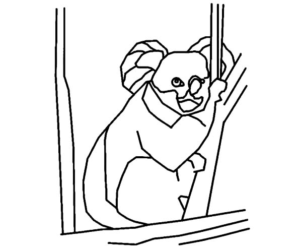 Раскраска: коала (Животные) #9457 - Бесплатные раскраски для печати