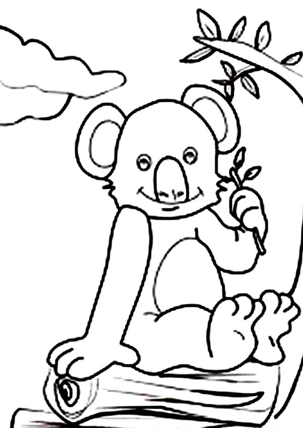 Раскраска: коала (Животные) #9461 - Бесплатные раскраски для печати