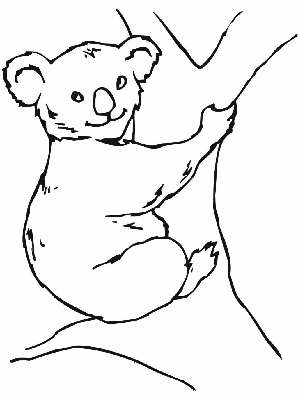 Раскраска: коала (Животные) #9462 - Бесплатные раскраски для печати