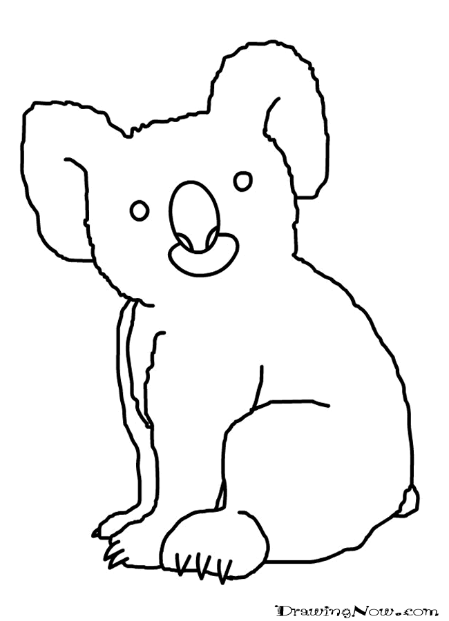 Раскраска: коала (Животные) #9468 - Бесплатные раскраски для печати