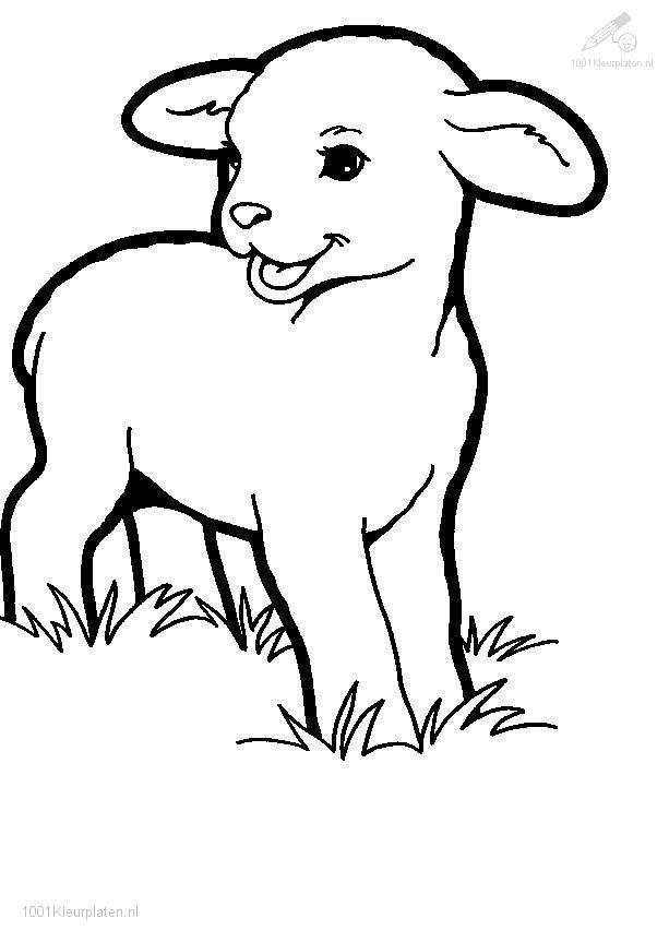 Раскраска: баранина (Животные) #178 - Бесплатные раскраски для печати
