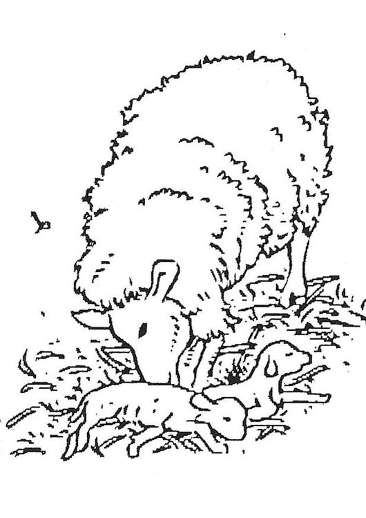 Раскраска: баранина (Животные) #192 - Бесплатные раскраски для печати