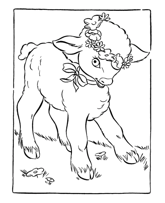 Раскраска: баранина (Животные) #206 - Бесплатные раскраски для печати