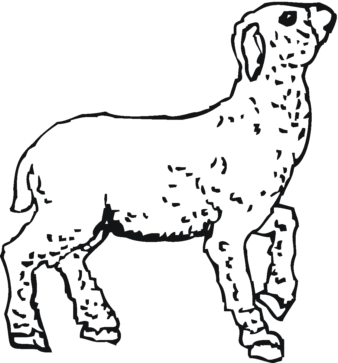 Раскраска: баранина (Животные) #250 - Бесплатные раскраски для печати