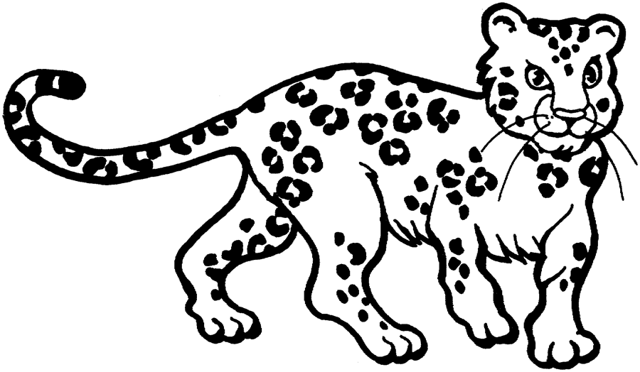 Раскраска: леопард (Животные) #9706 - Бесплатные раскраски для печати
