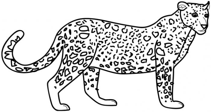 Раскраска: леопард (Животные) #9710 - Бесплатные раскраски для печати