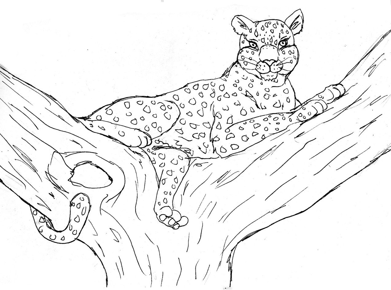 Раскраска: леопард (Животные) #9722 - Бесплатные раскраски для печати