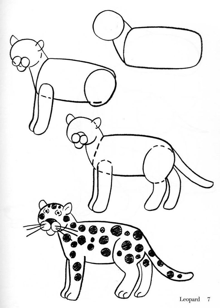 Раскраска: леопард (Животные) #9779 - Бесплатные раскраски для печати