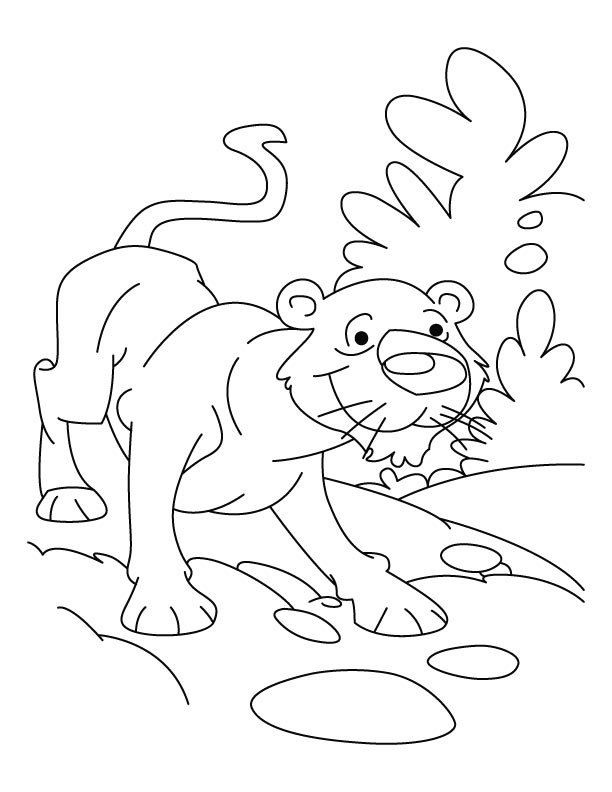 Раскраска: леопард (Животные) #9786 - Бесплатные раскраски для печати