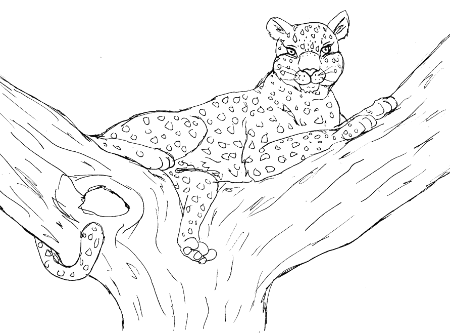 Раскраска: леопард (Животные) #9810 - Бесплатные раскраски для печати