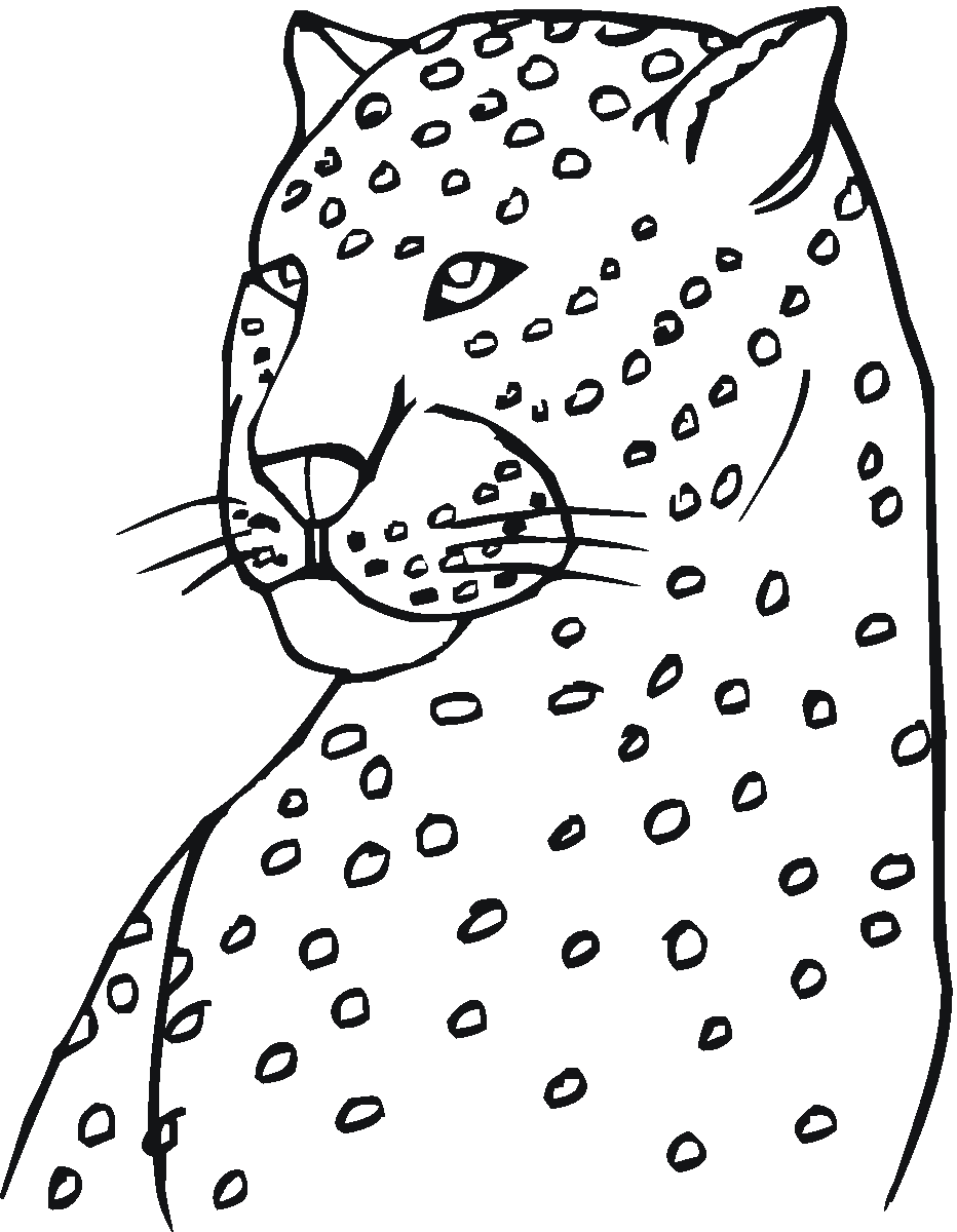 Рисунок раскраска леопард