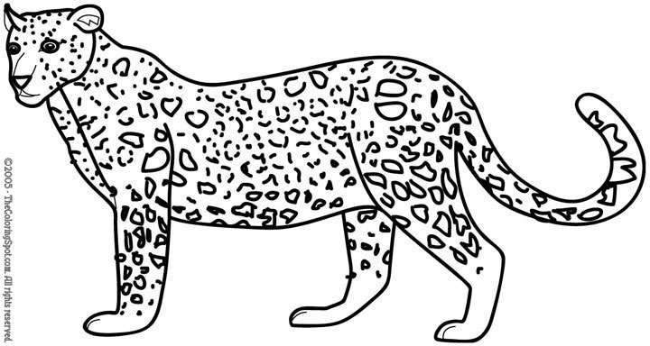 Раскраска: леопард (Животные) #9869 - Бесплатные раскраски для печати