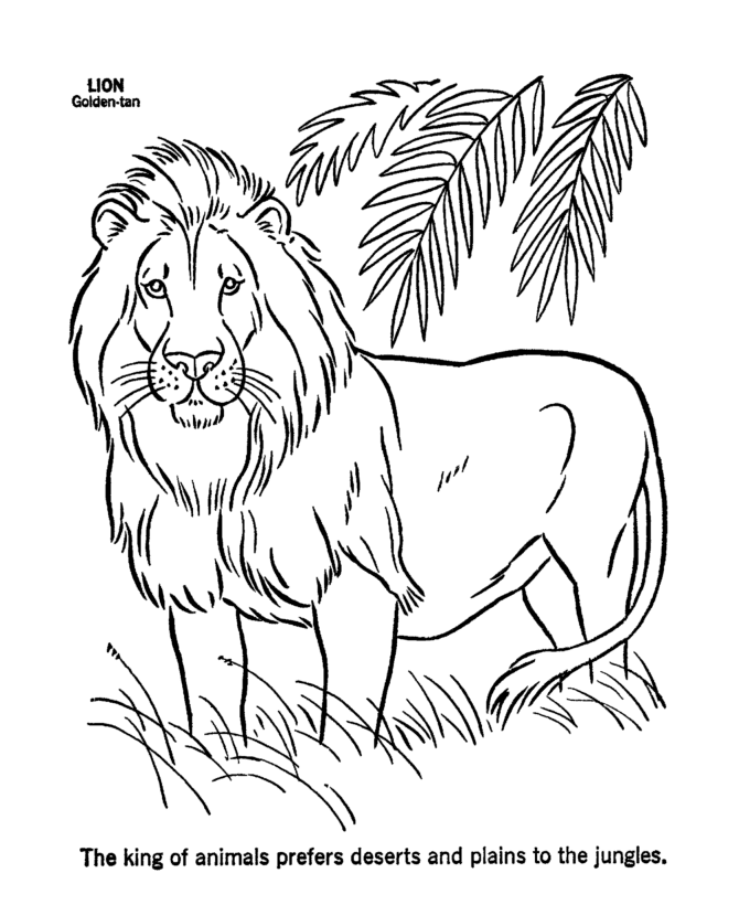 Раскраска: лев (Животные) #10252 - Бесплатные раскраски для печати