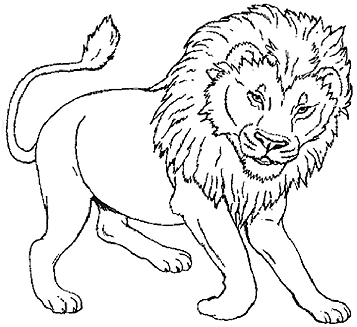 Раскраска: лев (Животные) #10270 - Бесплатные раскраски для печати