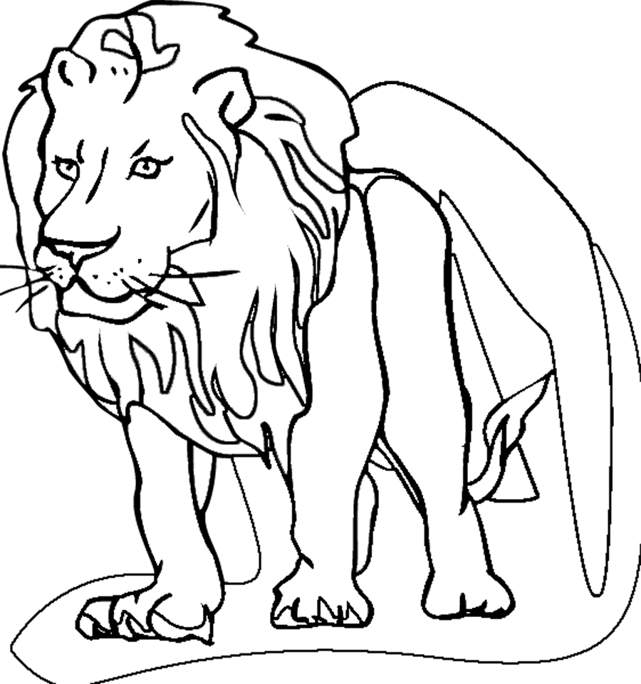 Раскраска: лев (Животные) #10279 - Бесплатные раскраски для печати