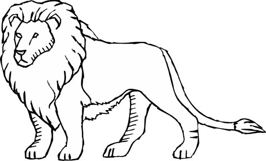 Раскраска: лев (Животные) #10292 - Бесплатные раскраски для печати