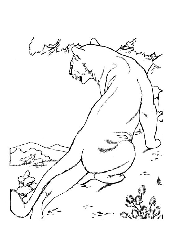 Раскраска: лев (Животные) #10384 - Бесплатные раскраски для печати