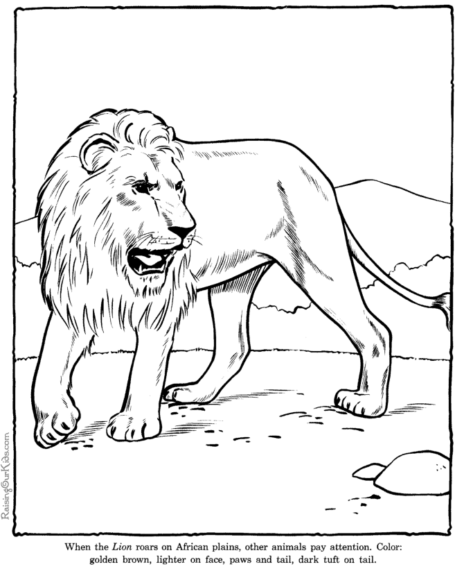Раскраска: лев (Животные) #10399 - Бесплатные раскраски для печати