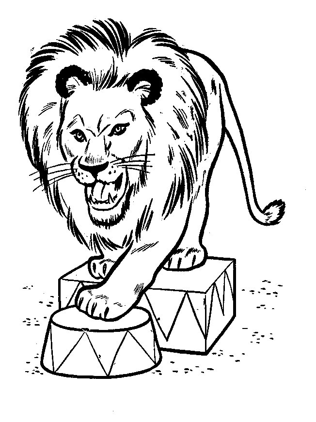 Раскраска: лев (Животные) #10406 - Бесплатные раскраски для печати