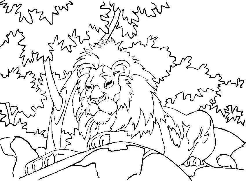 Раскраска: лев (Животные) #10418 - Бесплатные раскраски для печати