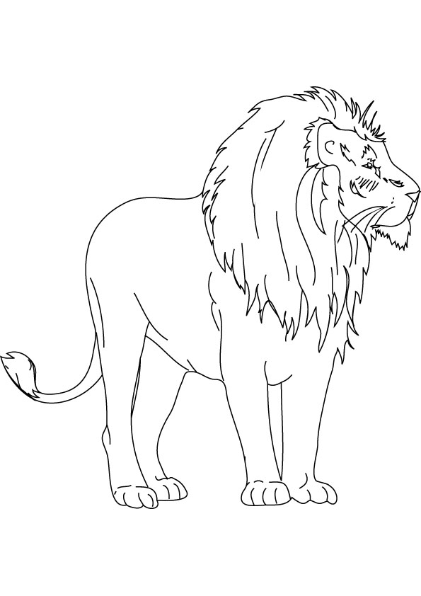 Раскраска: лев (Животные) #10437 - Бесплатные раскраски для печати