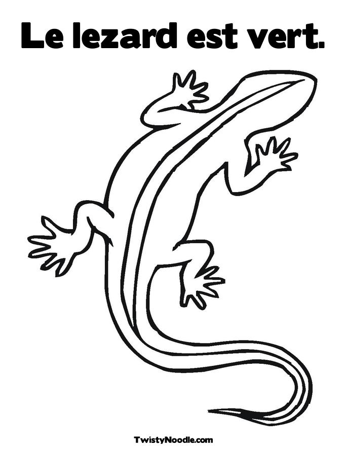 Раскраска: ящериц (Животные) #22348 - Бесплатные раскраски для печати