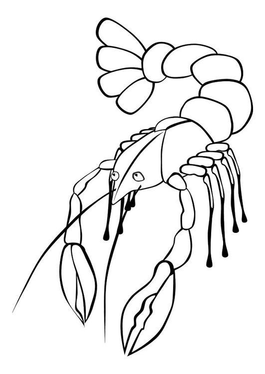 Раскраска: омар (Животные) #22495 - Бесплатные раскраски для печати