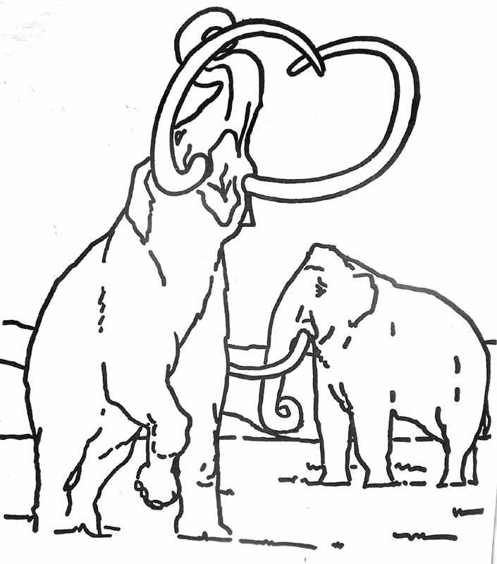 Раскраска: мамонт (Животные) #19198 - Бесплатные раскраски для печати