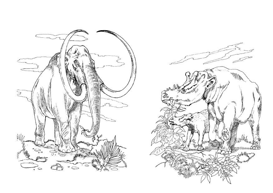 Раскраска: мамонт (Животные) #19282 - Бесплатные раскраски для печати