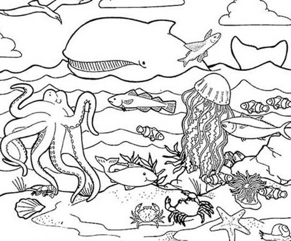 Раскраска: Морские животные (Животные) #21989 - Бесплатные раскраски для печати